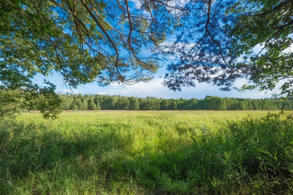 Illinois Town Had an Army Reserve Center for Nearly 60 Years. Now It’s Being Sold.