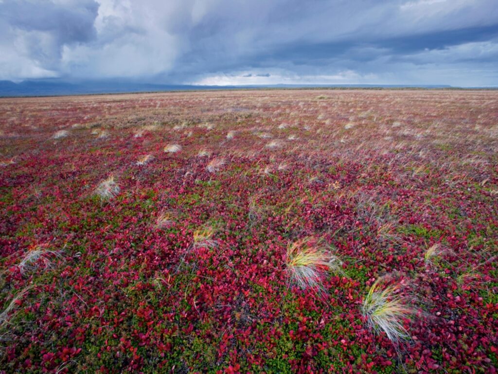 Last in-person vote in US will be cast on desolate tundra of Alaska’s Aleutian Islands