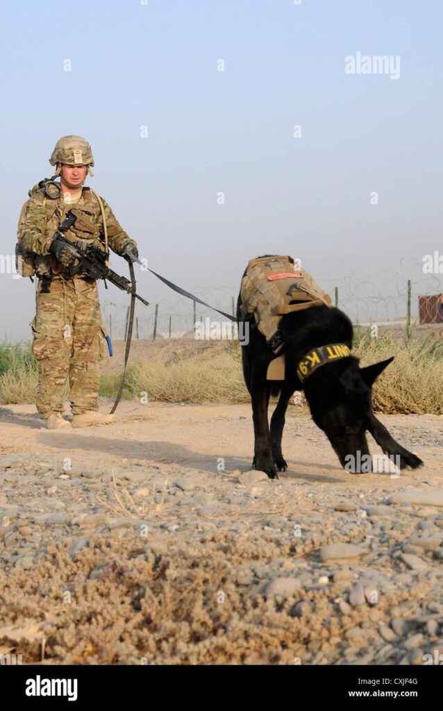 Army dog handler reunites with bomb-sniffing  buddy after years apart