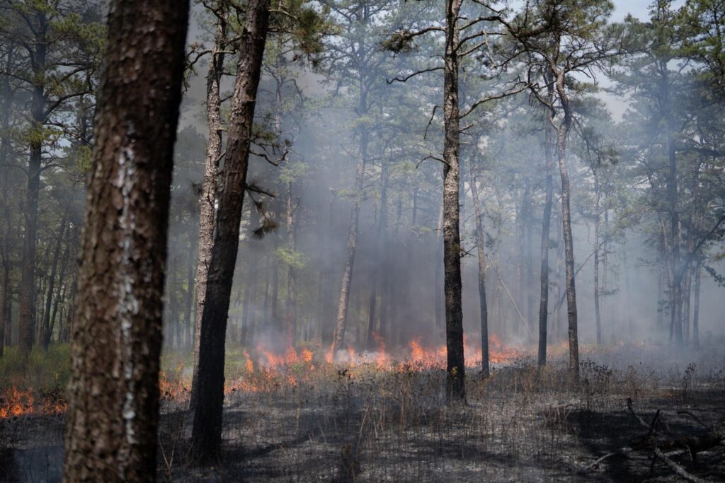 Uncontrolled Range Fires at Aberdeen Proving Ground Fill Surrounding Area with Smoke