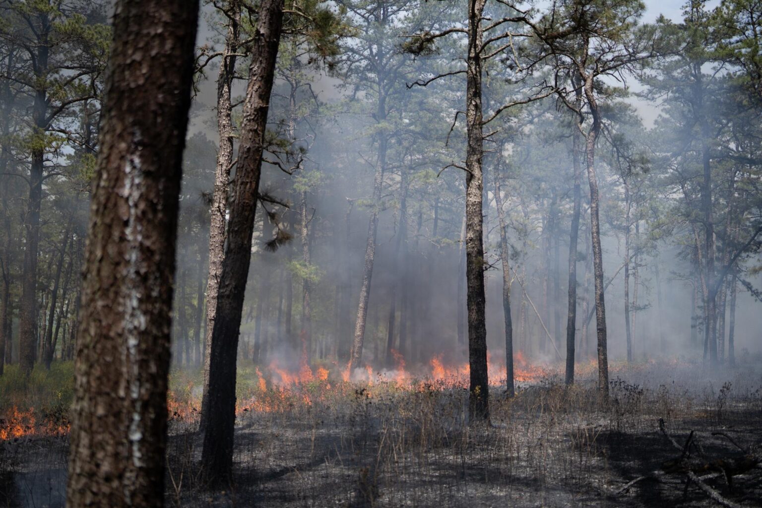 Uncontrolled Range Fires at Aberdeen Proving Ground Fill Surrounding Area with Smoke