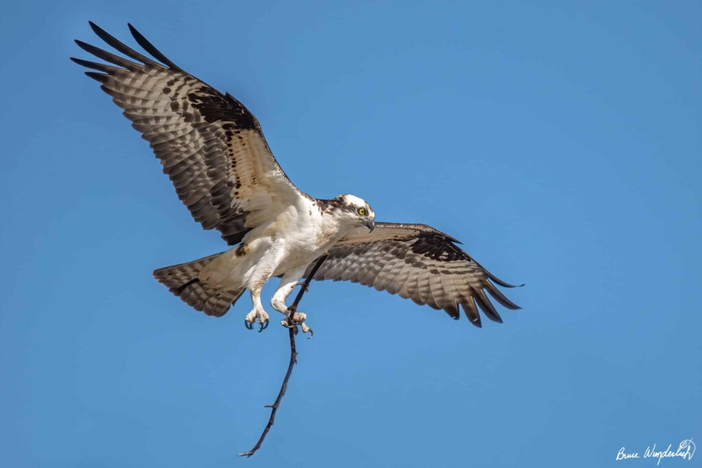 The Osprey’s safety issues caused deaths. Pilots still want to fly it