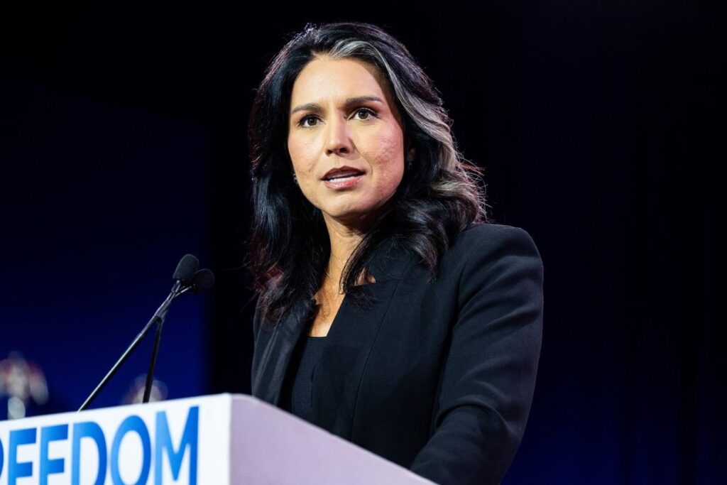 Tulsi Gabbard, Trump’s Pick for Intel Chief, Faces Questions on Capitol Hill amid Syria Fallout