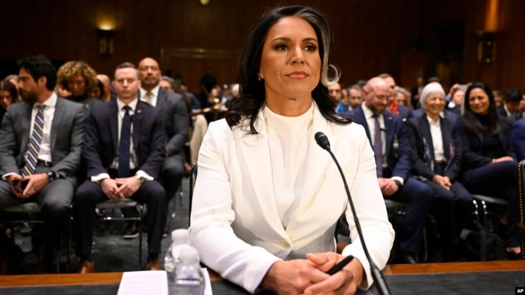 Senate confirms Tulsi Gabbard as Trump’s intelligence chief