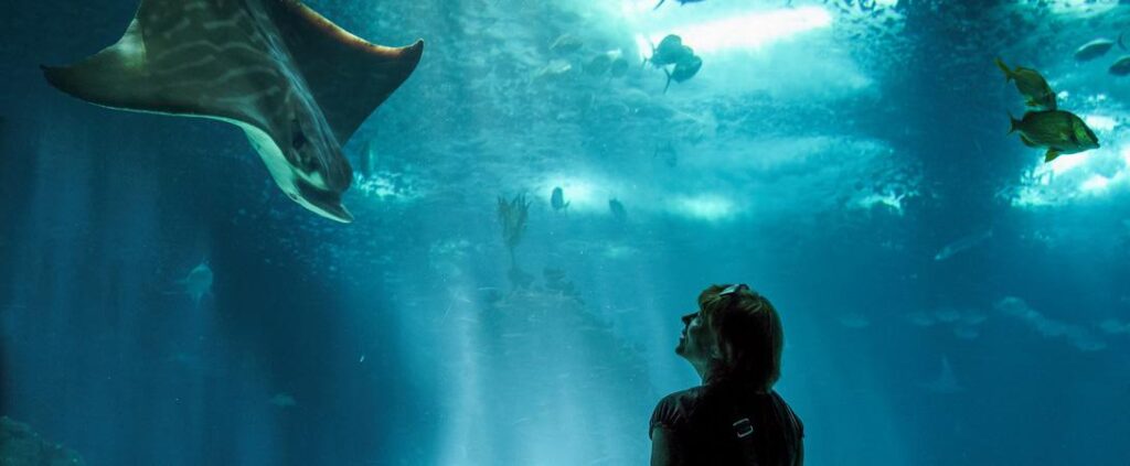 The Best Military Discounts on Amusement Parks, Zoos and Aquariums